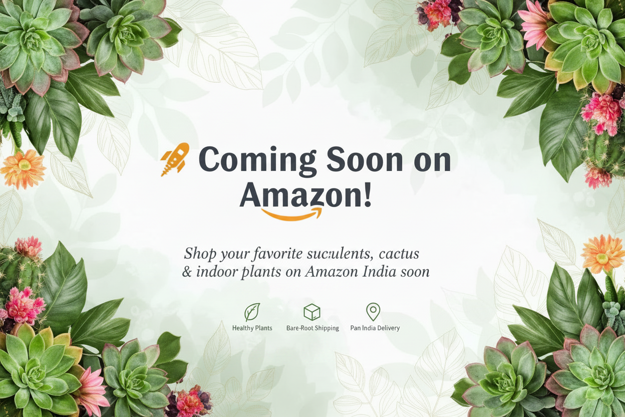 Coming Soon on Amazon banner by SucculentSmart featuring succulents, cactus and indoor plants with Pan India delivery.