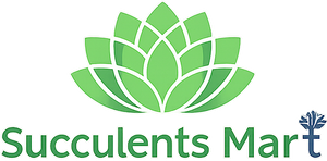 Succulents Mart