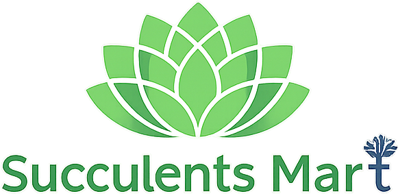 Succulents Mart